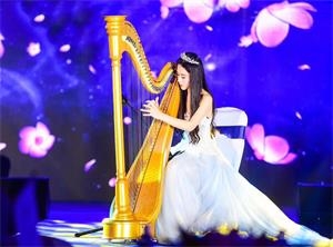 豎琴表演